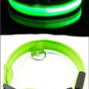 🆕LED Dog Colar